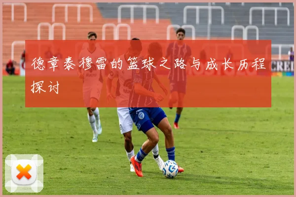 德章泰穆雷的篮球之路与成长历程探讨