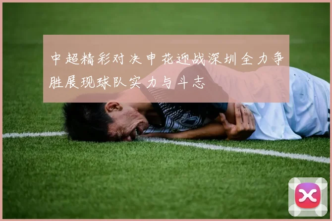 中超精彩对决申花迎战深圳全力争胜展现球队实力与斗志