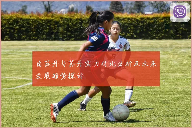 南苏丹与苏丹实力对比分析及未来发展趋势探讨